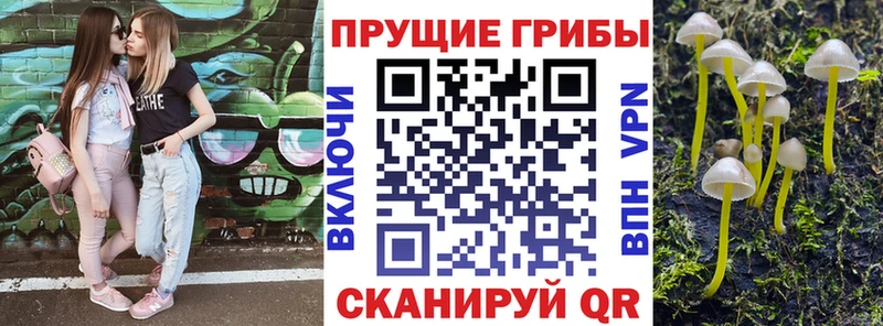 наркота  Юхнов  дарк нет телеграм  Псилоцибиновые грибы мухоморы 